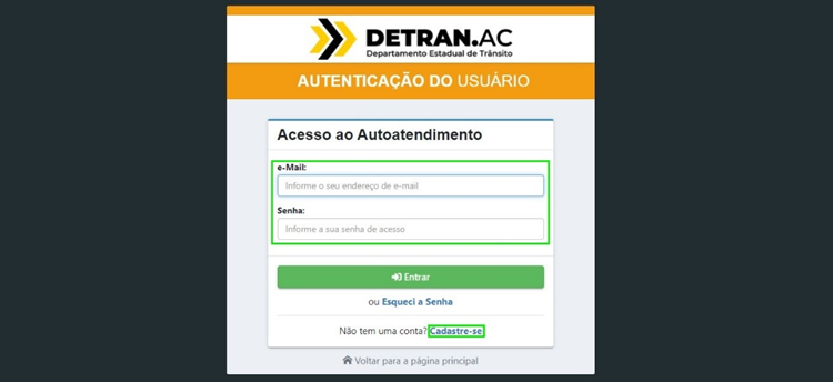 Print mostrando onde inserir as informações do veículo para imprimir o