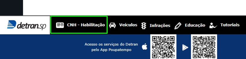 Print da tela mostrando o primeiro passo para consultar a pontuação do