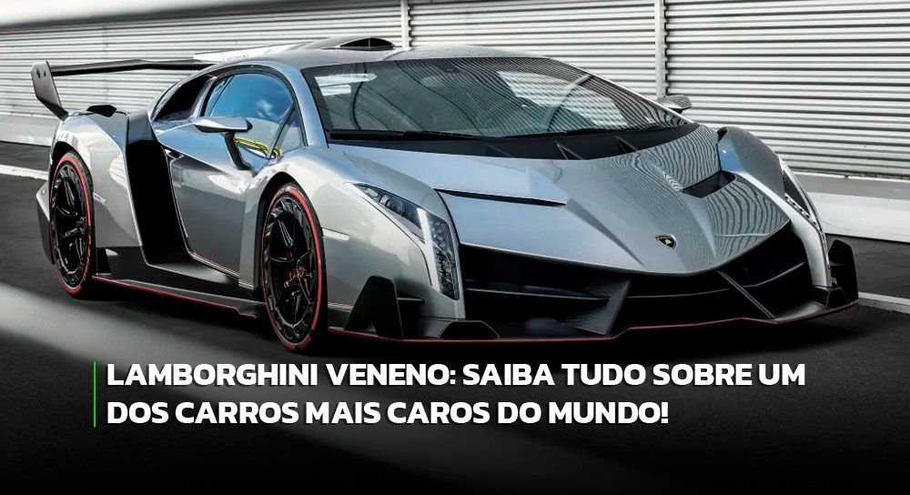 Lamborghini: touros que dão nome aos carros