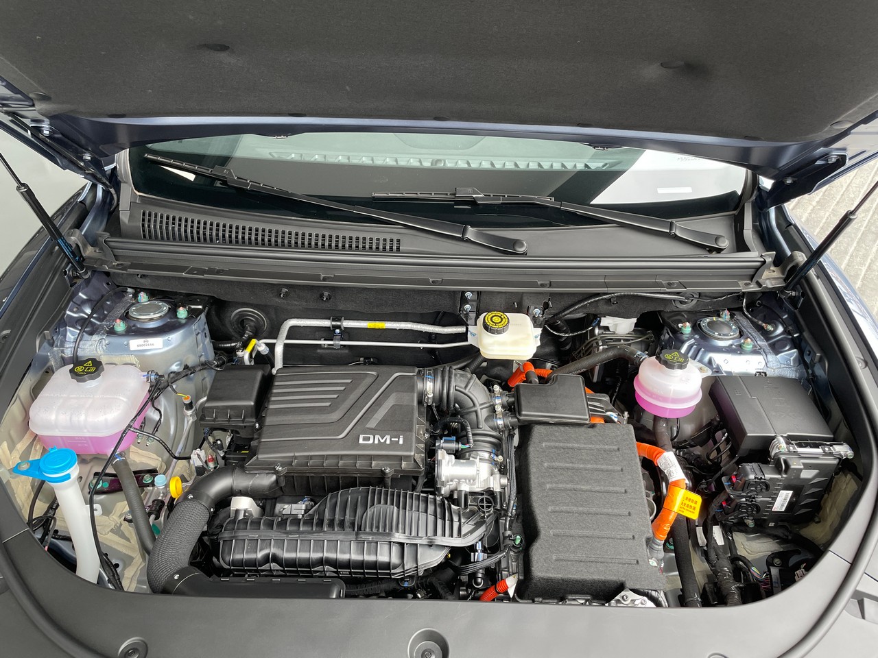 Foto da motorização do BYD Song Pro.